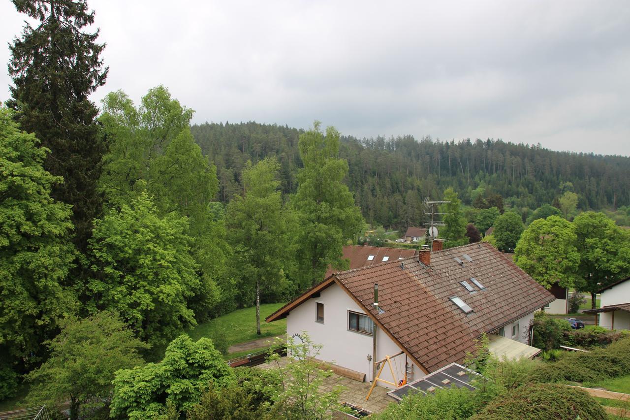 Kuckucksnester Friedenweiler Ngoại thất bức ảnh